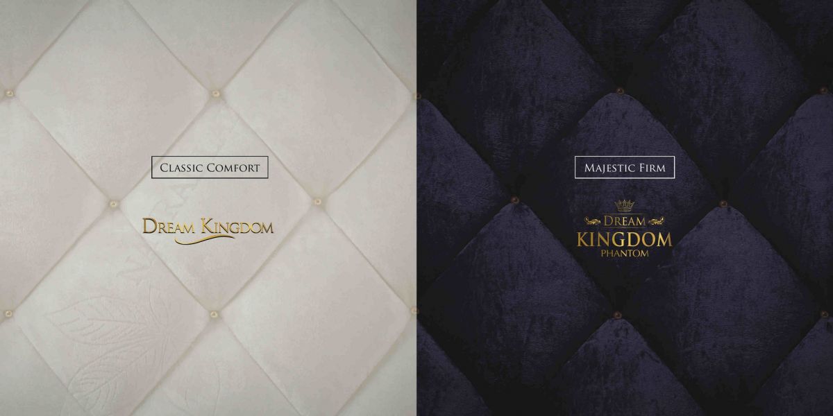 dream_kingdom_catalogue_2016.02.22.compressed_2.jpg