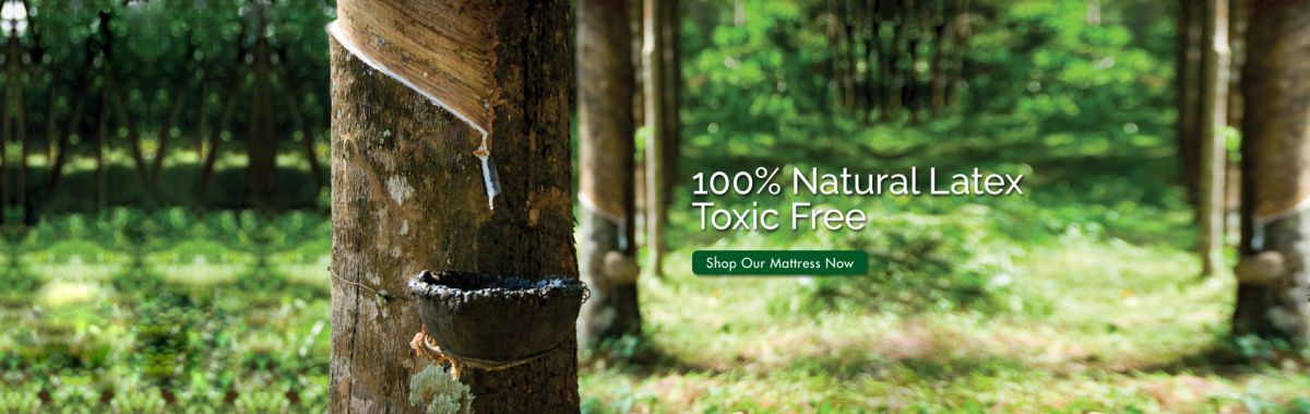 getha-banner-natural-latex-toxic-free.jpg