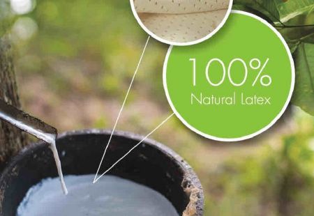 Матрас из 100% натурального латекса  Coala Home 120х200х15см