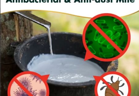 Матрас из 100% натурального латекса Nature First
